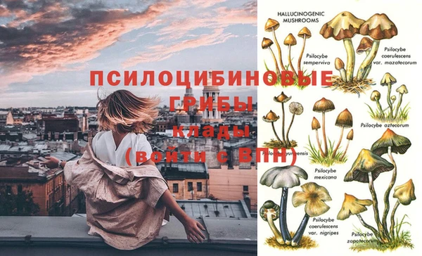 mdpv Алзамай