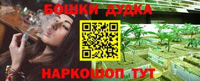 индика Владимир