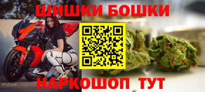 индика Владимир