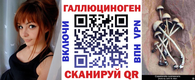 где продают   МЕГА рабочий сайт  Галлюциногенные грибы Psilocybine cubensis  Кондопога 