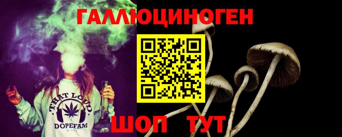 Галлюциногенные грибы MAGIC MUSHROOMS Кондопога